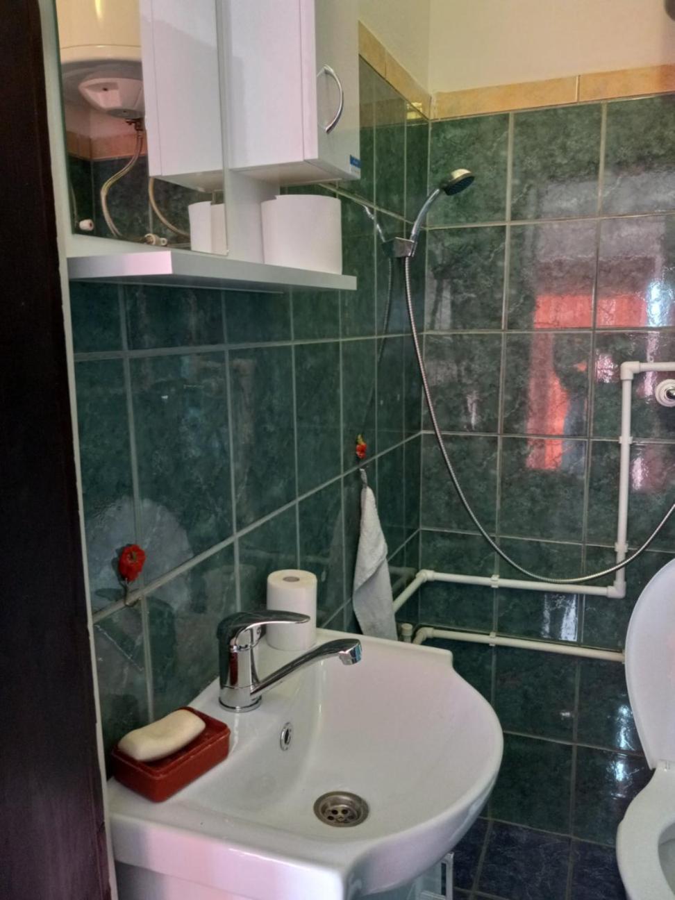 Apartman Sani Donji Milanovac Exterior photo