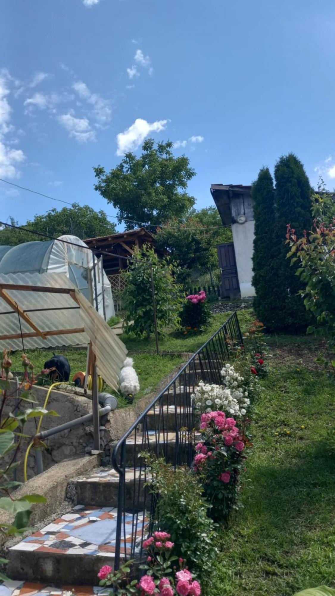 Apartman Sani Donji Milanovac Exterior photo