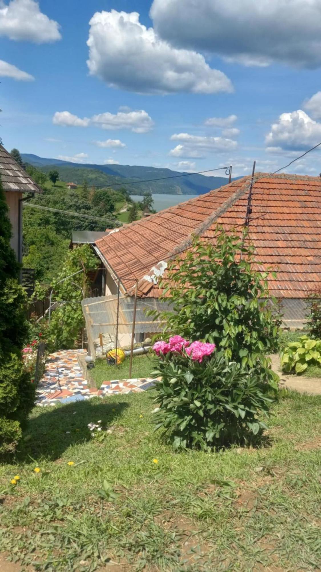Apartman Sani Donji Milanovac Exterior photo
